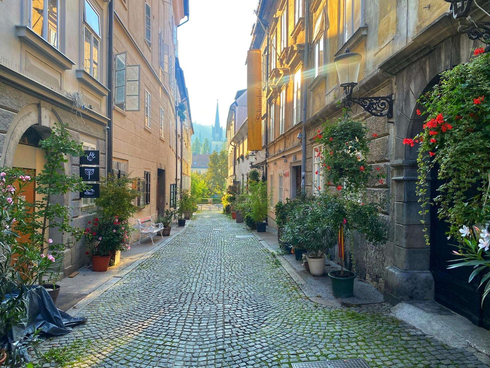 1Br Apartment On The Most Beautiful Street In Ljubljana Center Buitenkant foto